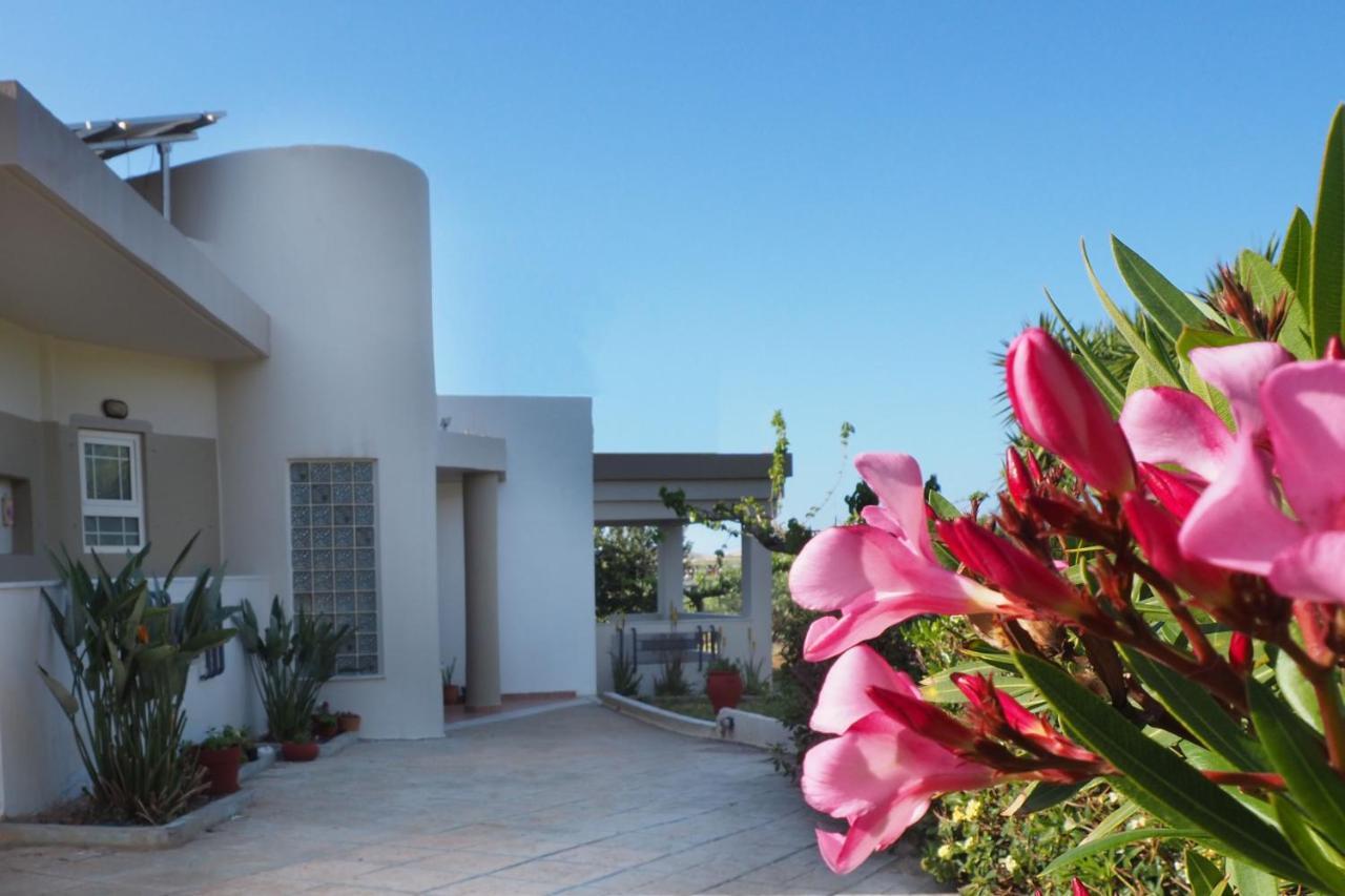 Olive House Villa Malia  Ngoại thất bức ảnh